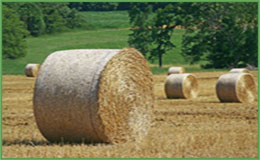 agriculture market research