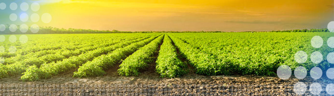 agriculture machinery and equipment hay in field